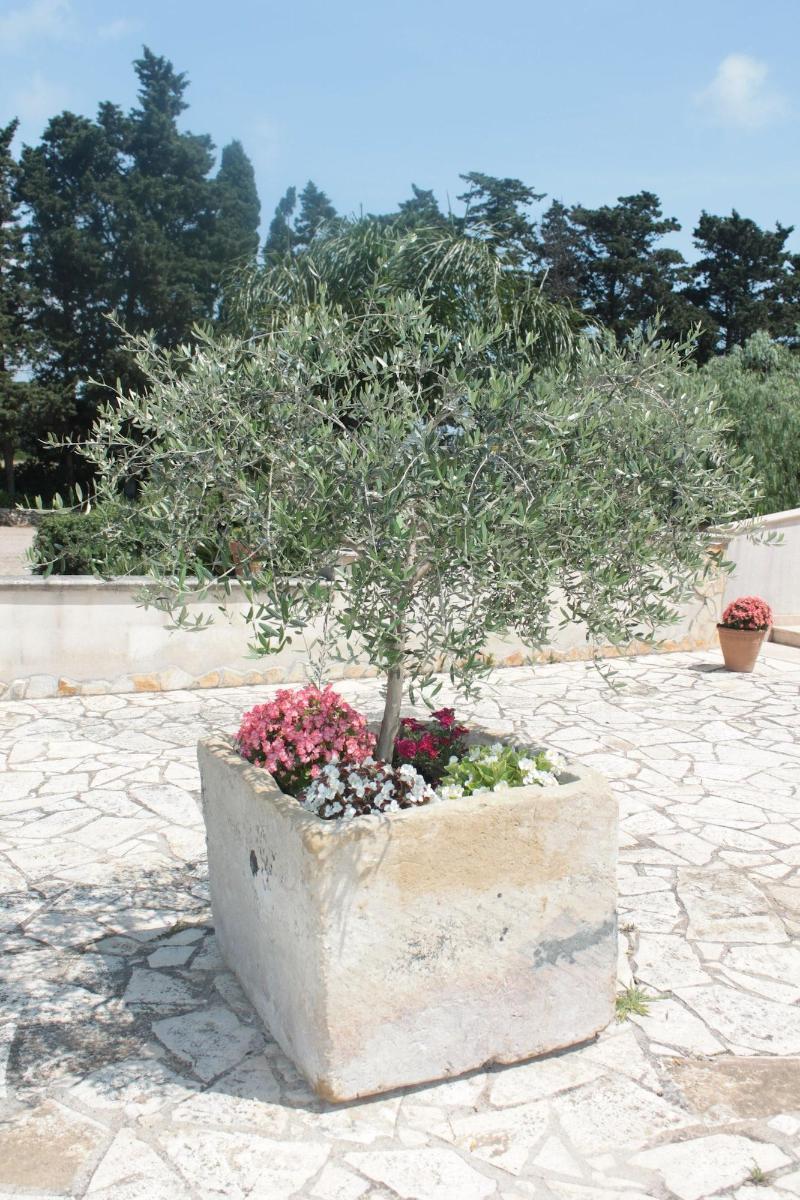 Tenuta Turchi Otranto Dış mekan fotoğraf