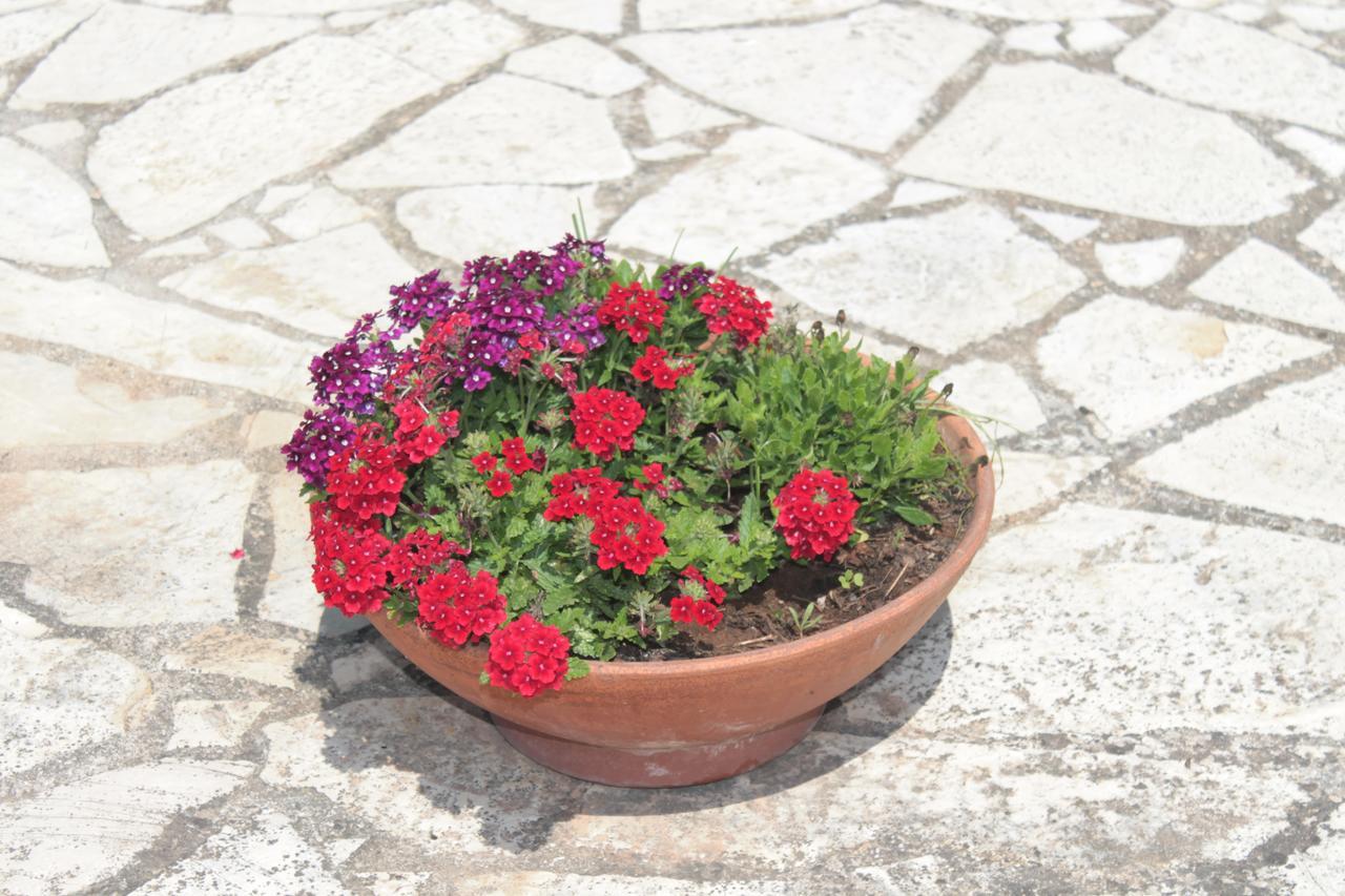 Tenuta Turchi Otranto Dış mekan fotoğraf